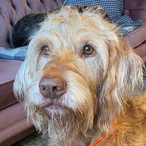 Meet your Posher, Christie